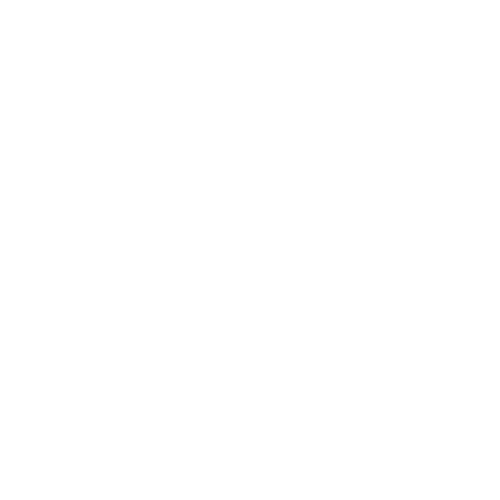 logo Footer